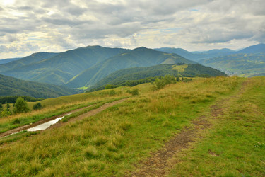 Similar image 11949685