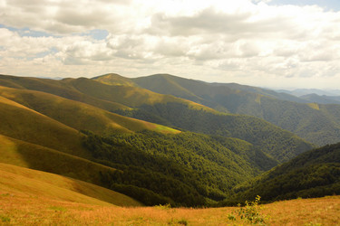 Similar image 11949691