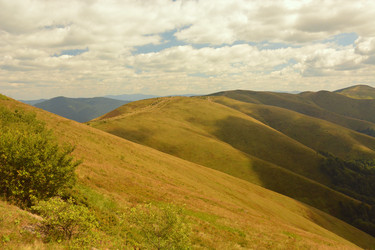 Similar image 11949692