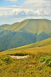 Similar image 11949693