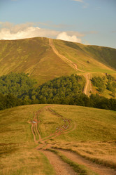 Similar image 11949697