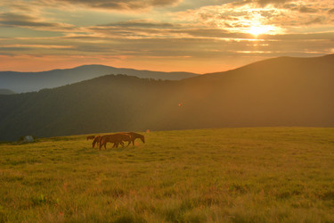 Similar image 11949699