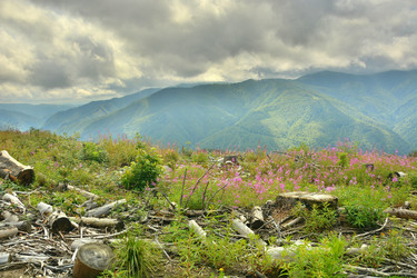 Similar image 11949720