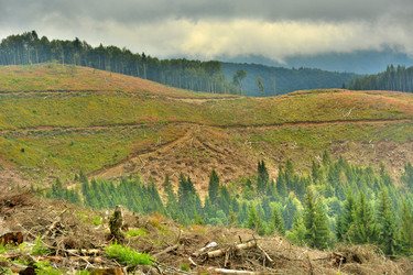 Similar image 11949721