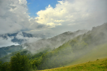 Similar image 11949541