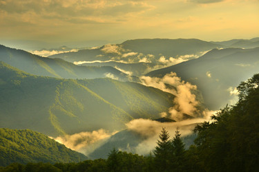 Similar image 11949554