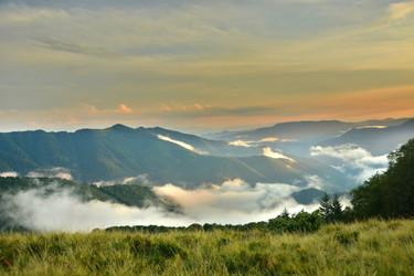 Similar image 11949555