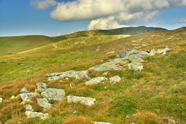 Similar image 11949394