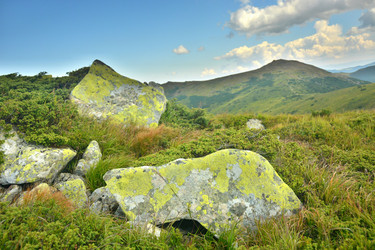 Similar image 11949398