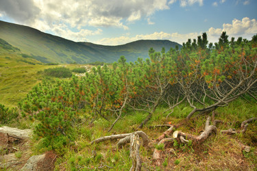 Similar image 11949412