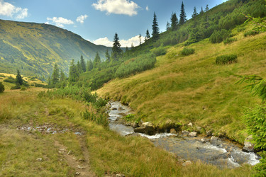 Similar image 11949415