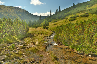 Similar image 11949416