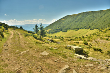 Similar image 11949419