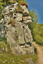 Similar image 11949468