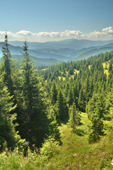 Similar image 11949469