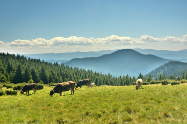 Similar image 11949470