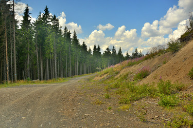 Similar image 11949473