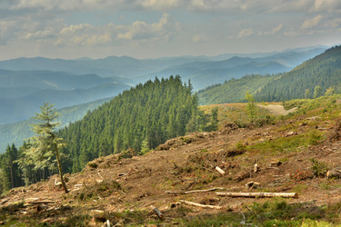 Similar image 11949475