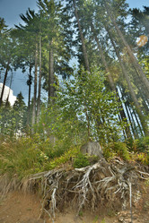 Similar image 11949476