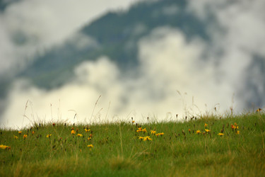 Similar image 11949477