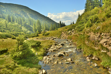 Similar image 11949478