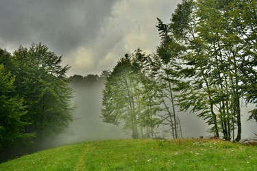 Similar image 11949479