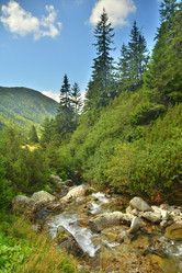 Similar image 11949480