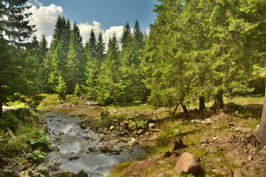 Similar image 11949488