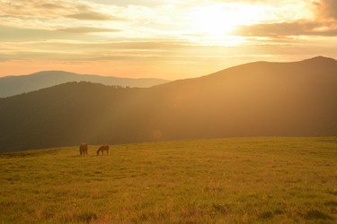 Similar image 11949489