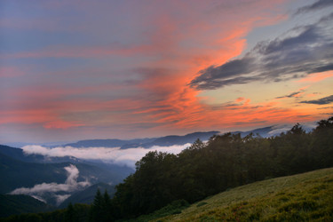 Similar image 11949491