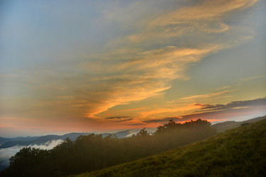 Similar image 11949493