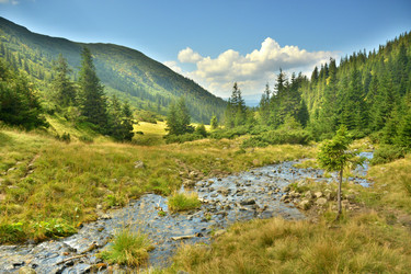 Similar image 11949494