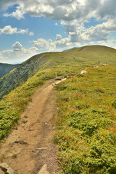 Similar image 11949498