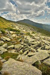 Similar image 11949500