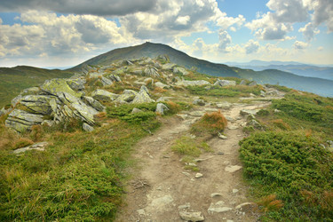 Similar image 11949501