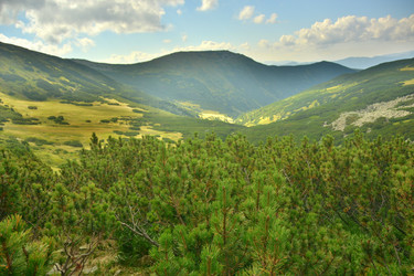 Similar image 11949503