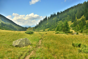 Similar image 11949504