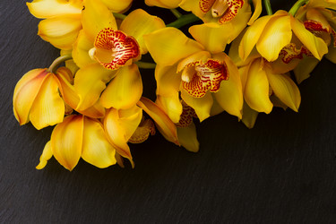 Similar image 11957203