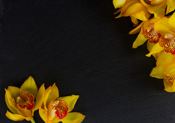 Similar image 11957204