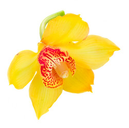 Similar image 11957205