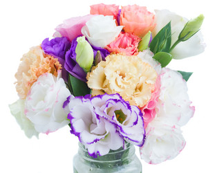 Similar image 11957225