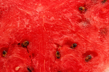 Similar image 11949031