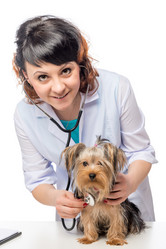 Similar image 11949208