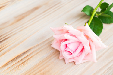 Similar image 11957247