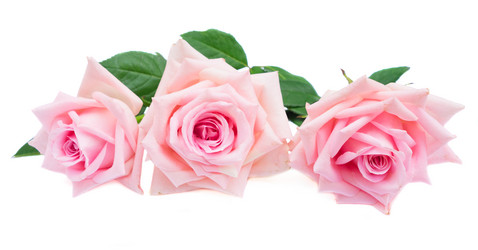 Similar image 11957264