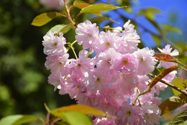 Similar image 11949423