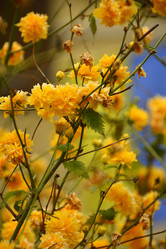 Similar image 11949424