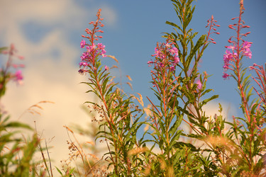 Similar image 11949426