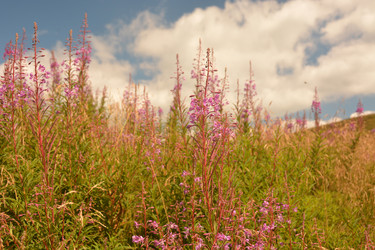 Similar image 11949427