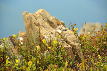 Similar image 11949481